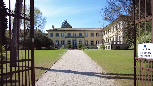 Gallo Spa - Visual