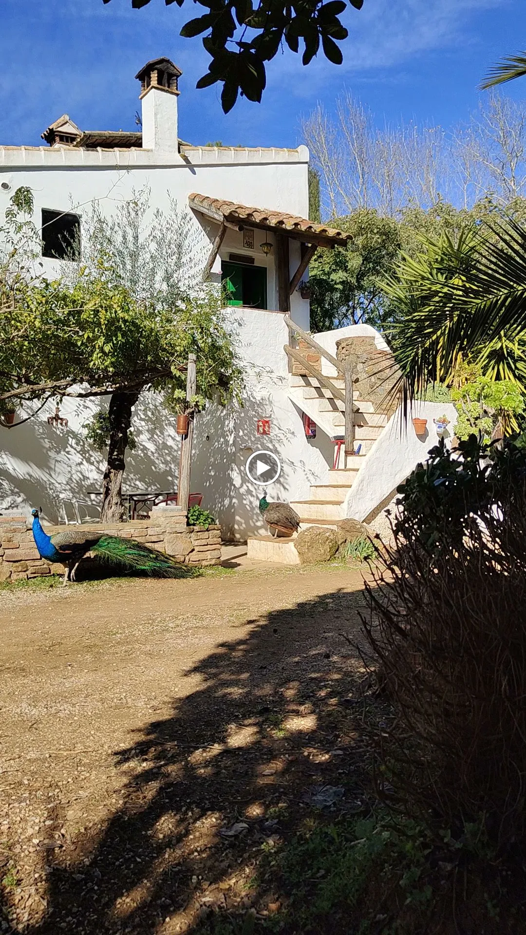 Casa Rural El Castaño Sevilla