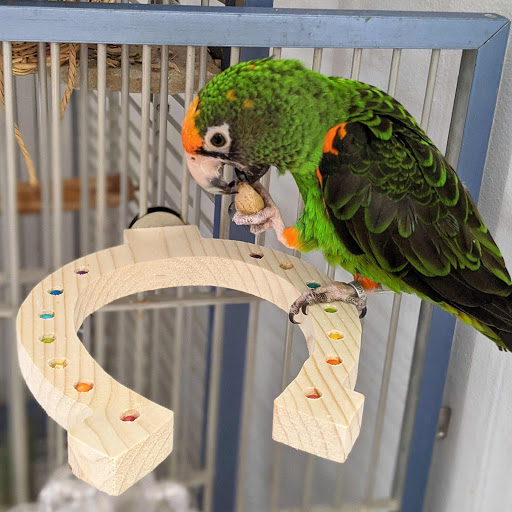 Lil Monsters Bird Toys - Thumbnail