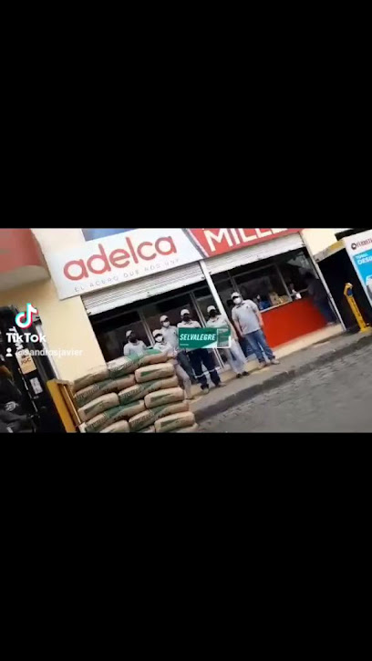 Ferreteria Milenium Salcedo