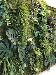 Photo n°5 de Centre Medecinéo à Houilles (Centre médical)