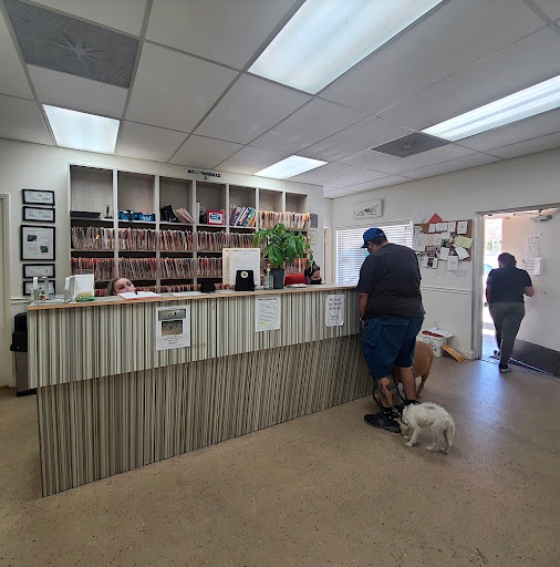 Sierra veterinary clinic - Thumbnail