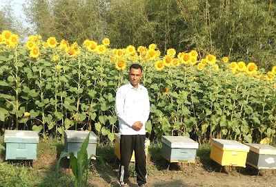 Photos of Padmasri Beekeeping & Agro Farm
