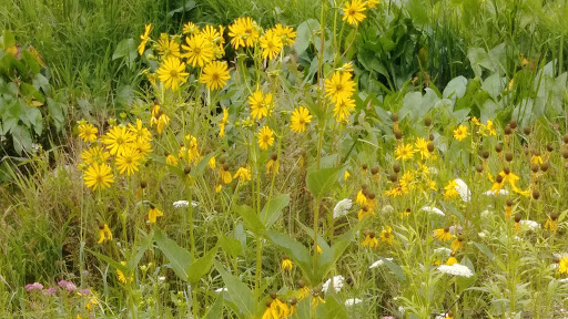 Crawford Farms Park - Thumbnail