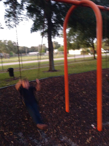 Rev. Earl Wright Park - Visual