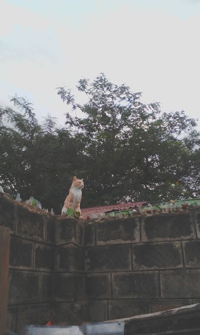 Photos of Holy Trinity Catholic Church Buru Buru