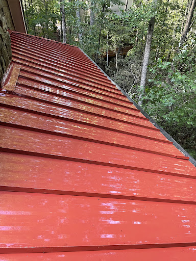ProClean Roof Cleaning - Thumbnail