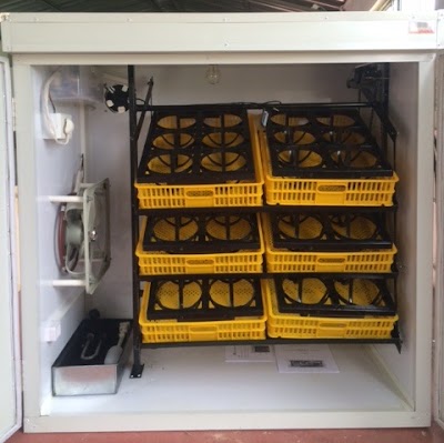Photos of Easyhatch Incubation Equipment