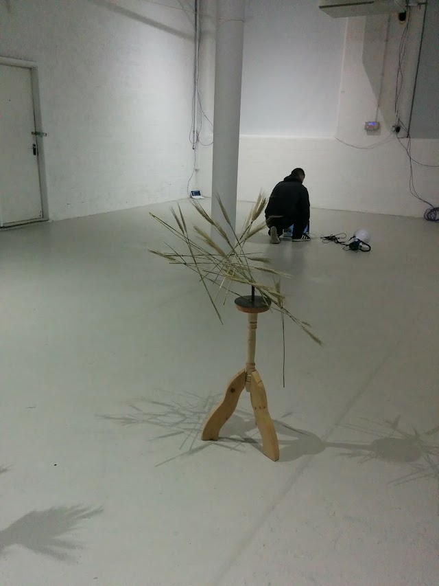 Catalyst Arts Gallery
