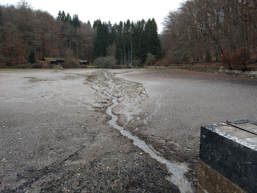 Becherbach Weiher - Thumbnail
