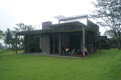 Photos of Tea garden resort