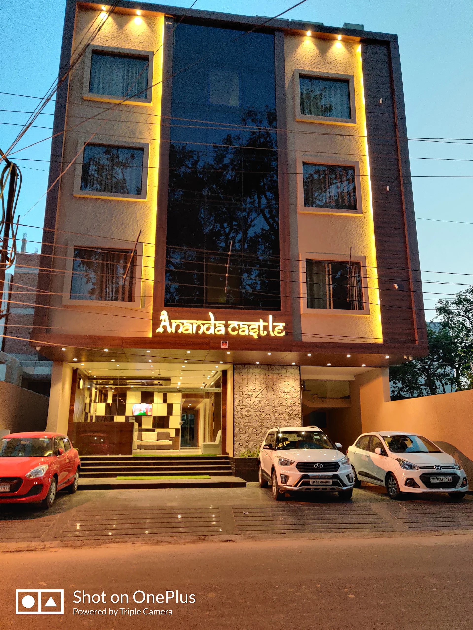Hotel Ananda castle