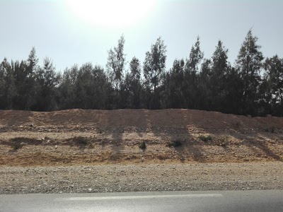 Photos of reda ben yahia