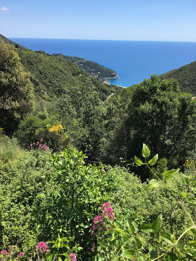 AGENZIA IMMOBILIARE VALLE
