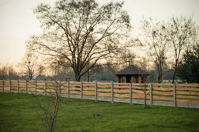 Photos of Dedro Park Skidel