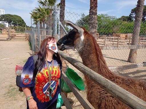 La Mascota i el Jardí - Thumbnail