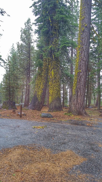 Big Meadow Campground