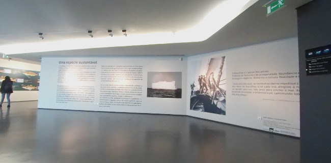 Museu Marítimo de Ílhavo e Aquário dos Bacalhaus