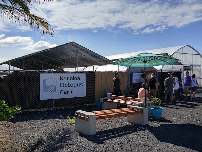 Kanaloa Octopus Farm