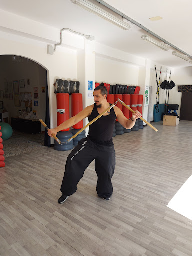 Dojo Lo-Han - Visual