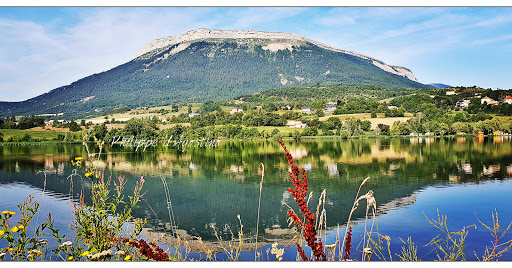 Parc Chabriere Gallery - France