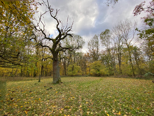 Wöbelsburg - Visual