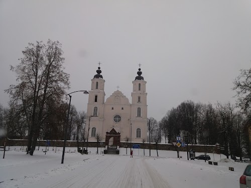 Vandens lelija, sveciu namai, Visaginas