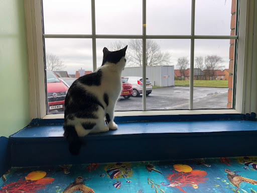 Cefn Coed Hospital Gallery - United Kingdom
