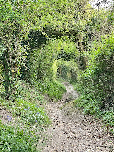 Highdown Hill - Visual