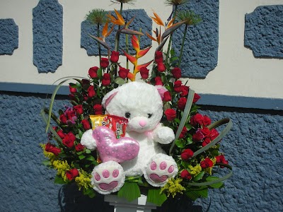 Photos of FLORISTERIA Y EVENTOS SHADDAI