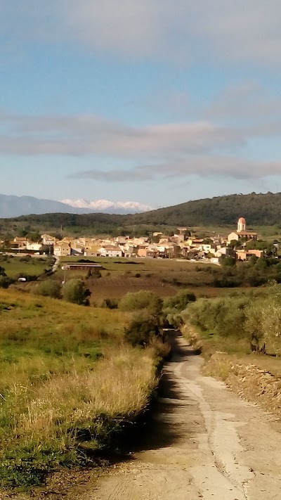Photos of Trattoria Vittozzi, s.l.