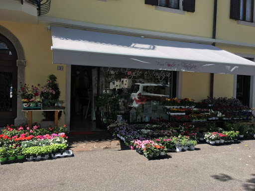 Fiori Foglie E Fantasia Di Alt Consuelo