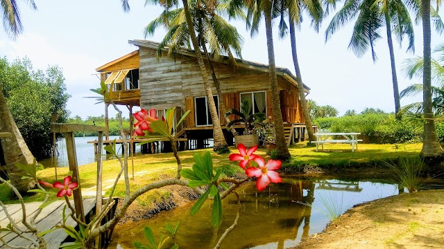Nature Luxury Lodge