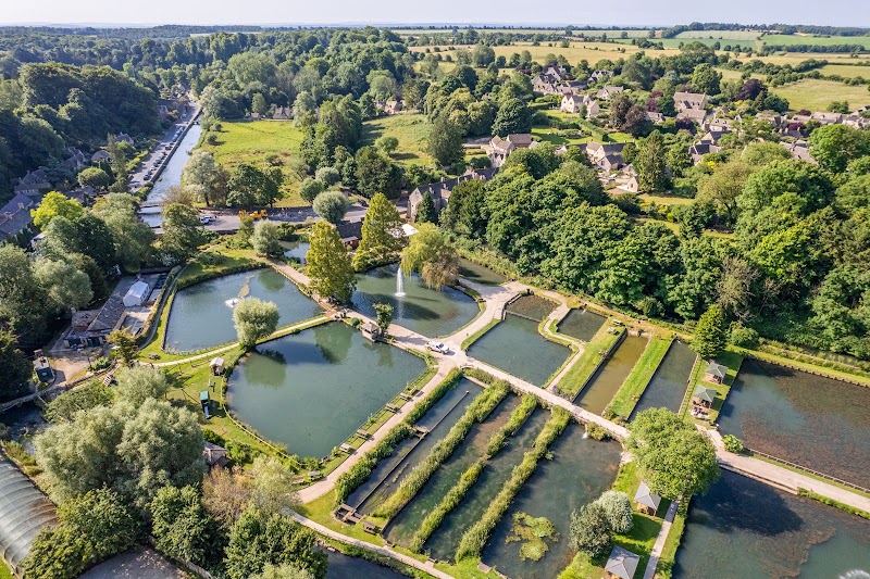 Bibury Trout Farm photo 2