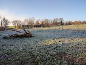 Photo n°19 de Au Nid Douillet à Chantenay-Villedieu (Chambre d'hôtes)