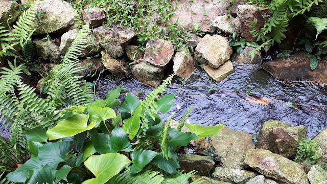 Phaeng Waterfall