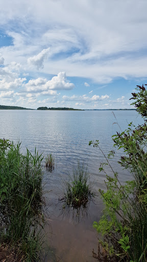 Ausblick auf Goitzschesee