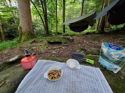 Backcountry Campsite #34