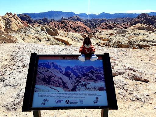 Fire Canyon / Silica Dome Gallery - United States