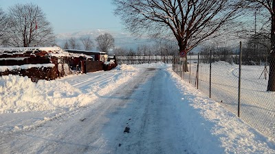 Photos of Campingplatz Baggersee