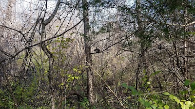 Conrad & Viola McGrew Nature Preserve