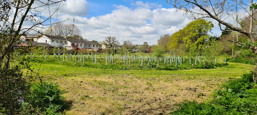 Crowbridge Green - Thumbnail