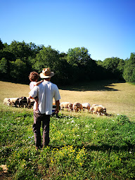 Photo n°10 de Le Potager de Nicolas à Issendolus (Maraîcher)