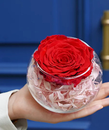 Photo n°9 de Monceau Fleurs à Le Vésinet (Boutique de cadeaux)
