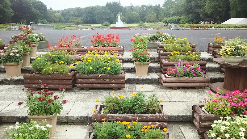 茨城県植物園 茨城県那珂市戸 植物園 公園 グルコミ