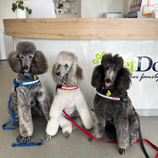 Pet Doctors Palm Beach