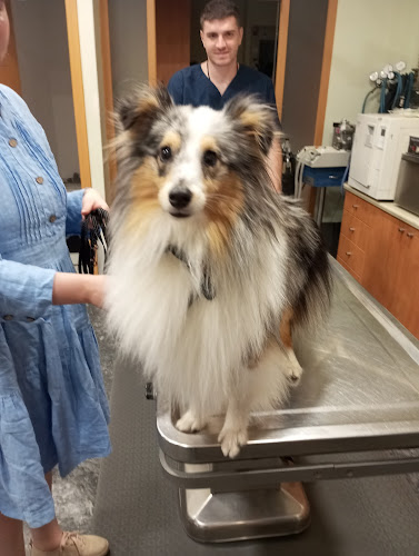 Opinii despre Κτηνιατρείο "Γιαννούλη-Ζαπάντες" în Πάτρα - Κτηνίατρος