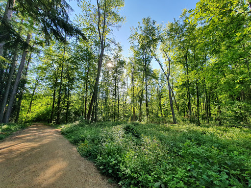 Waldlehrpfad Montabaur