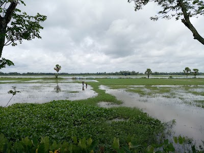 Photos of Morkota