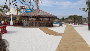 Photo n°21 de CHARRIER FÈVRE - Aménagement et agencement extérieur en bois pour particuliers, professionnels et collectivités. à Sainte-Florence (Menuisier)